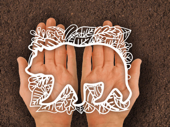Bear Leaf Paper Cut SVG: An Embroidery Review